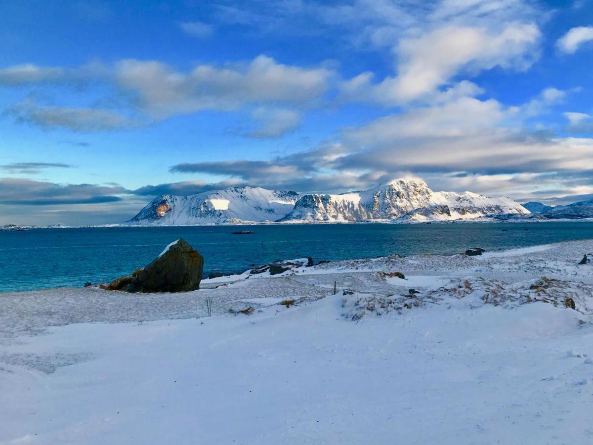 Mountain View Lofoten Leknes Zewnętrze zdjęcie